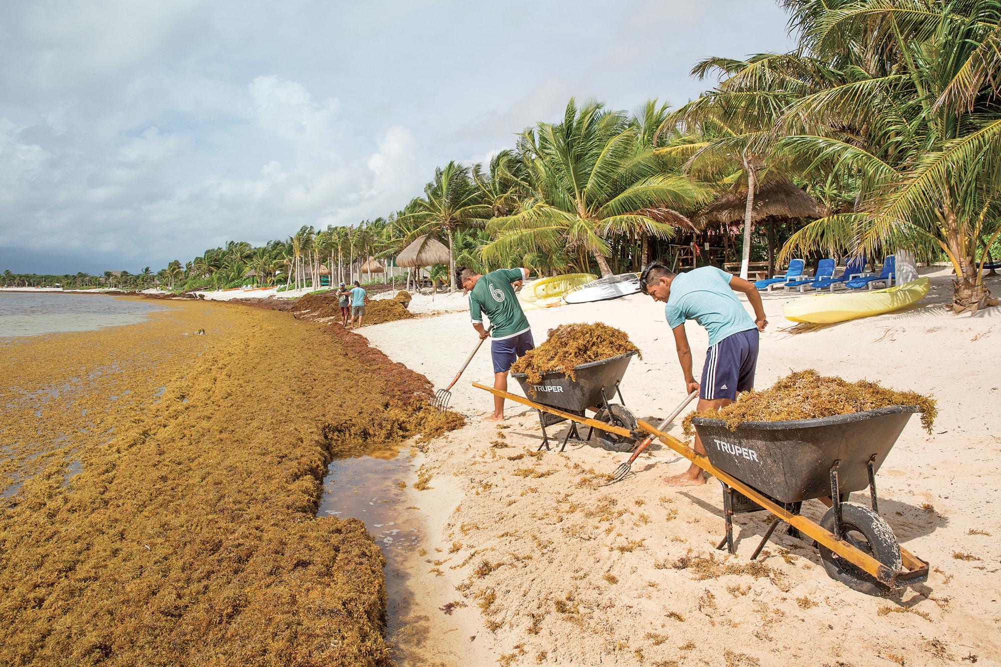 Curaçao: A Sargassum-Free Paradise in the Caribbean