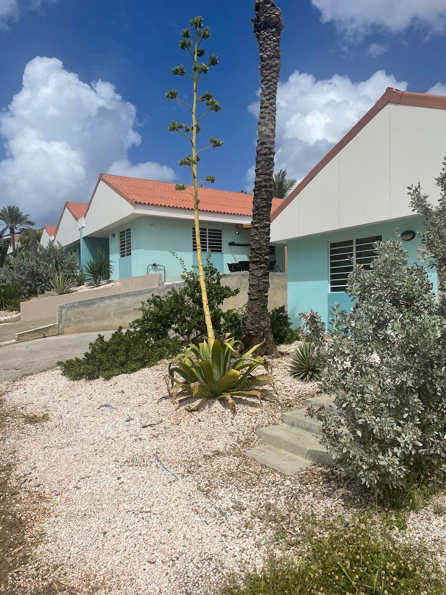 Investment Opportunity: Beautiful Bungalow at Resort East Hill – Rented Until February 2026