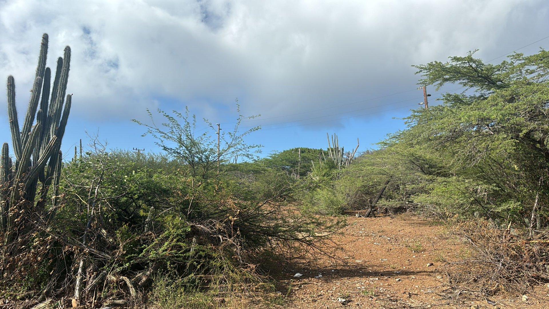 2062 M2 Leasehold Land  Close to Beach For Sale in Westpunt